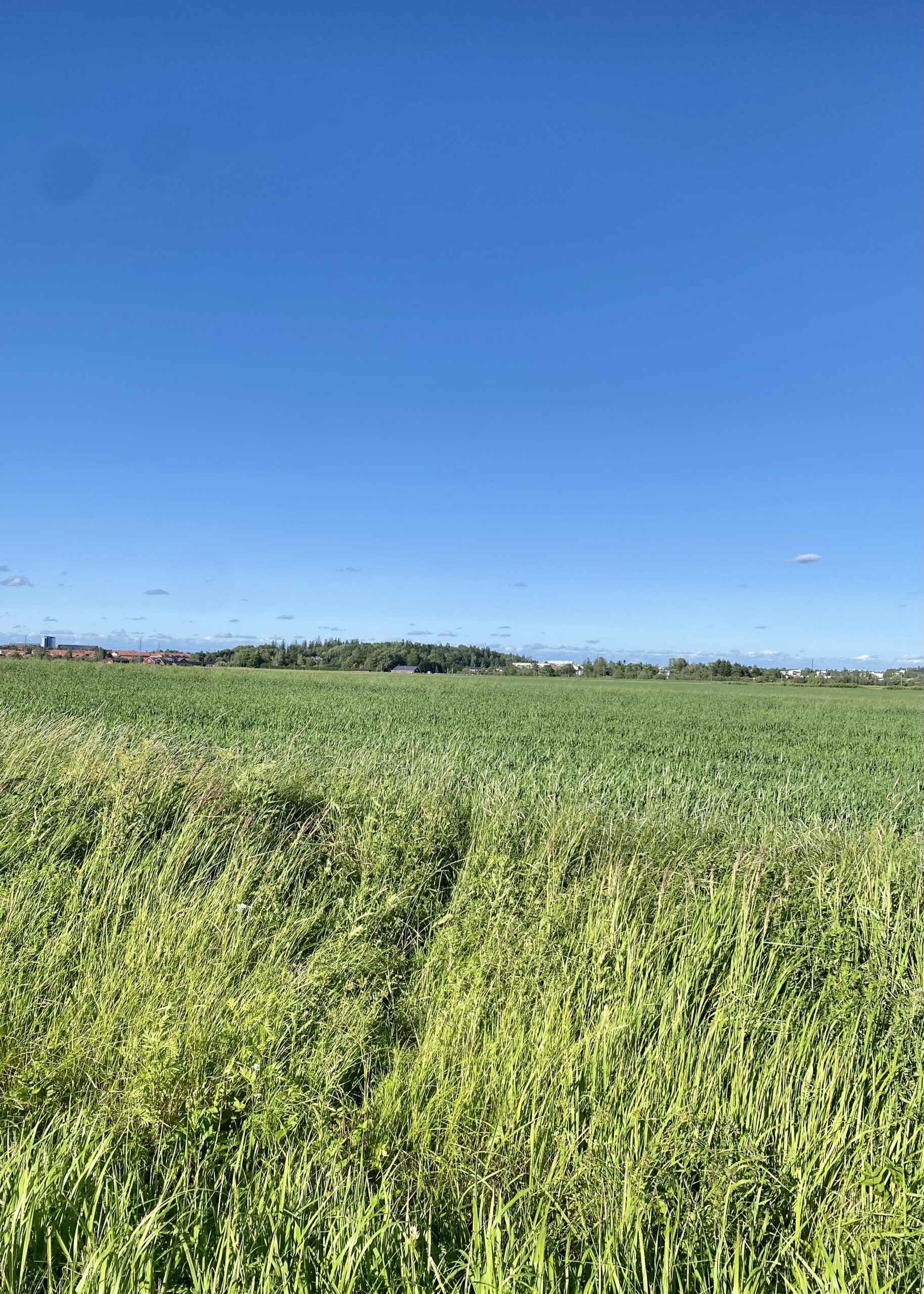 When Performance Anxiety Starts to Limit Your Life